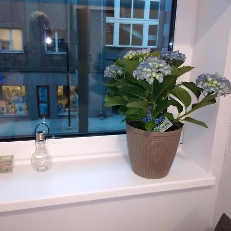Appartement Pepleri 34 Stuudio 11 Tartu